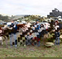 Noorat Show - Restaurant Guide