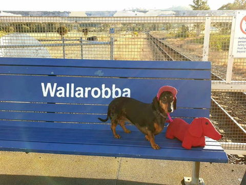 Oktoberfest Dungog - Restaurant Guide 1