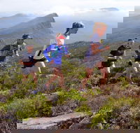 Peaks and Trails Run - Restaurant Guide