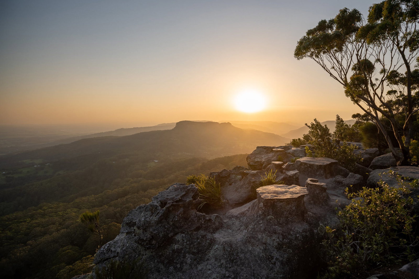 Brogers Creek NSW Restaurant Guide