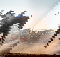 Rodeo by the Sea - Streaky Bay - Restaurant Guide