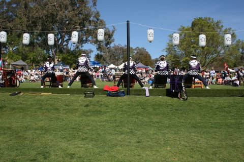 Sakura Matsuri  - Cherry Blossom Festival - In Doubt Due To Covid-19 - Restaurant Guide 0