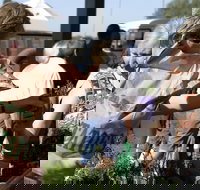 Sale  Producers Market - Restaurant Guide