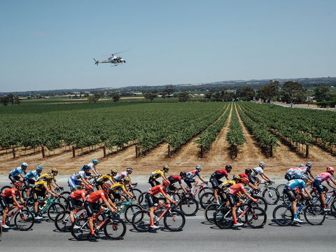 Santos Tour Down Under - Restaurant Guide 0