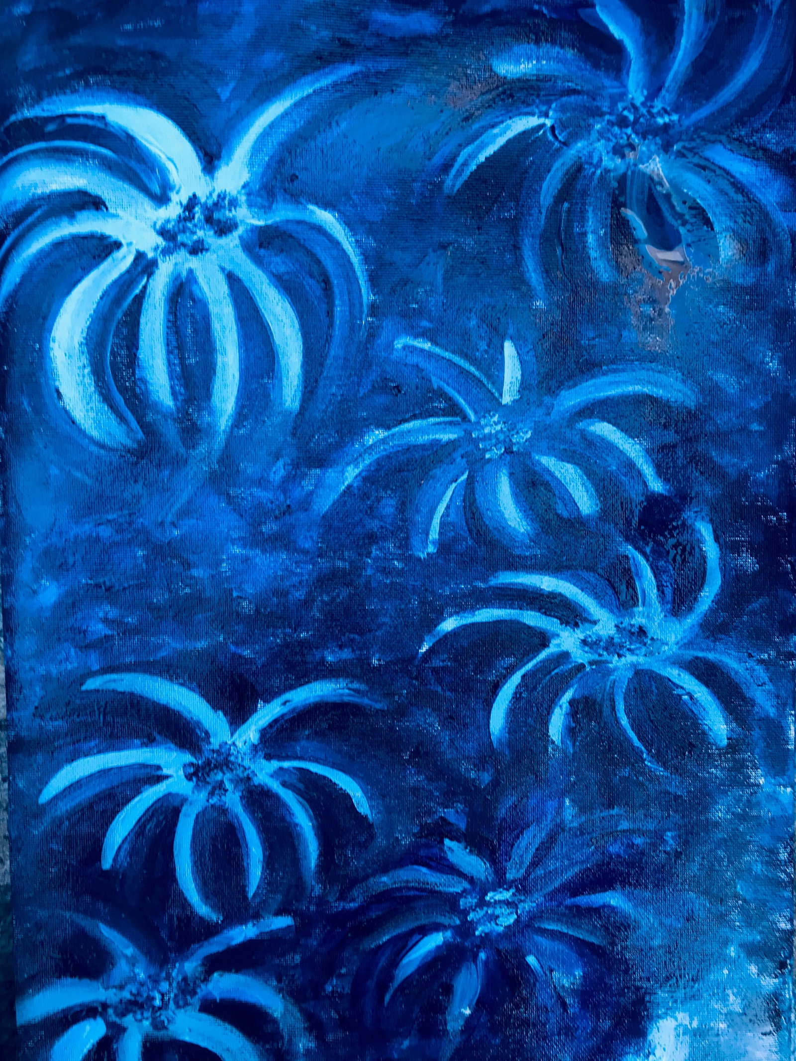 Thornlands QLD Restaurant Guide