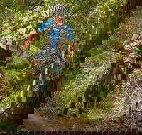 Shimano MTB Grand Prix Race  Awaba - Restaurant Guide