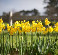 Sunday at Cruden Farm - Restaurant Guide