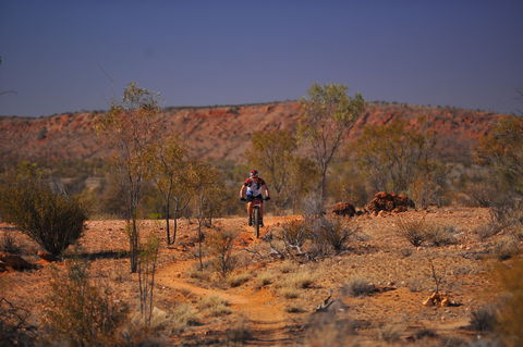The Redback - Restaurant Guide 2