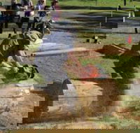 Tocal Field Days - Restaurant Guide