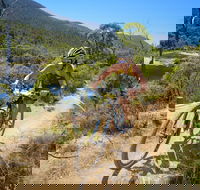 TreX Cross Triathlon Series  Snowy Mountains - Restaurant Guide