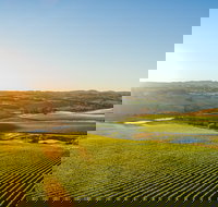 Wine and Food at Altitude - Restaurant Guide