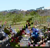 Yoga in the Vines - Restaurant Guide