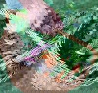 Orange Farmers Market - Restaurant Guide