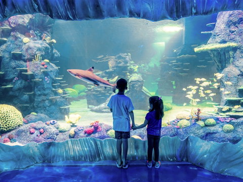 Sydney's Aquarium - Restaurant Guide 1