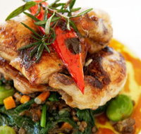 Stella Italian Kitchen  Pizzeria - Restaurant Guide