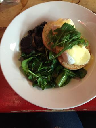 Redd Catt - Restaurant Guide 0