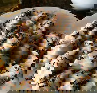 Dumpling Chen - Restaurant Guide