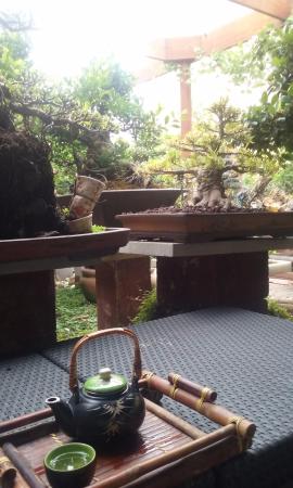 Sweet Grass Bonsai Nursery Cafe - Restaurant Guide 0
