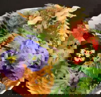 Pimaan Thai Cuisine - Restaurant Guide