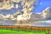 Max's at Red Hill Estate