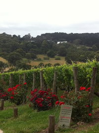 Paringa Estate