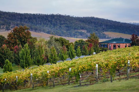 De Bortoli Winery & Restaurant - Restaurant Guide 0