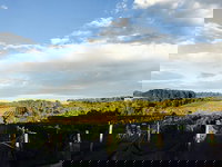 Rare Hare at Willow Creek Vineyard