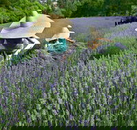 Lavandula Swiss Italian Farm - Restaurant Guide