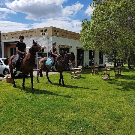 Miss Moose Tuck Shop - Restaurant Guide 0