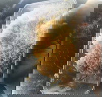 Noodle Dynasty - Restaurant Guide