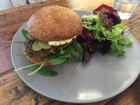 Forage on the Foreshore