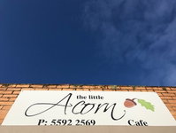 The Little Acorn