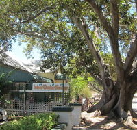 The Season Tree - Restaurant Guide