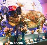 Hotel Harry - Restaurant Guide
