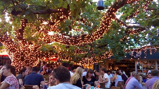 The Oak Bar  Grill Sydney