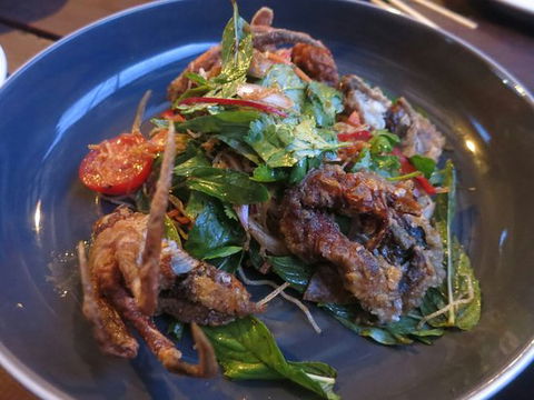 Solo - Restaurant Guide 0