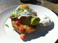 Terrigal Takeaway and Terrigal Restaurant Guide Restaurant Guide