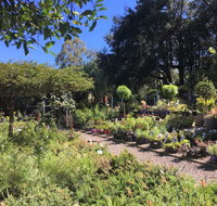 Yatte Yattah Nursery  Cafe - Restaurant Guide