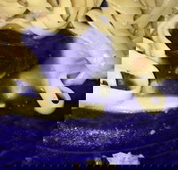 Leumeah Pizza - Restaurant Guide