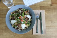 Alchemy Art and Food Hub