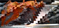 Black Bear BBQ