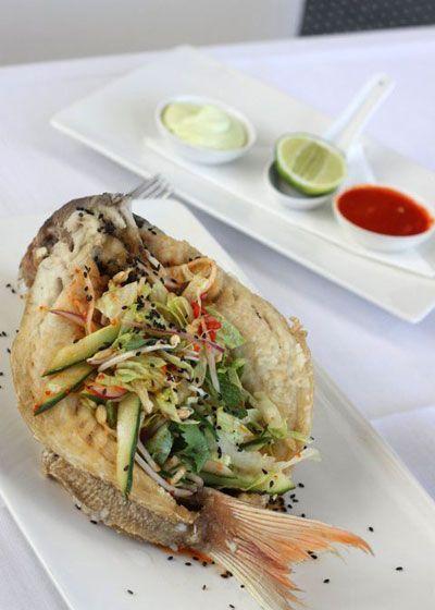 Elephant Rock Cafe Bar & Restaurant - Restaurant Guide 14