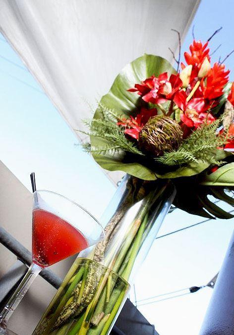 Elephant Rock Cafe Bar & Restaurant - Restaurant Guide 1
