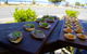 Elephant Rock Cafe Bar & Restaurant - thumb 21
