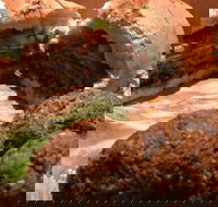 Familiar Takeaway - Restaurant Guide