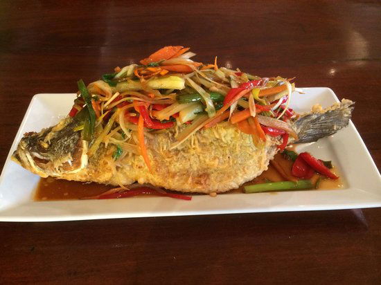 Yarrawa NSW Restaurant Guide