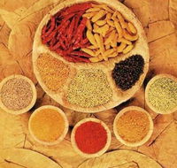 Tehzeeb Indian and Australian Restaurant - Restaurant Guide