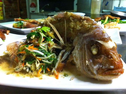 Terrace Cafe - Restaurant Guide 0