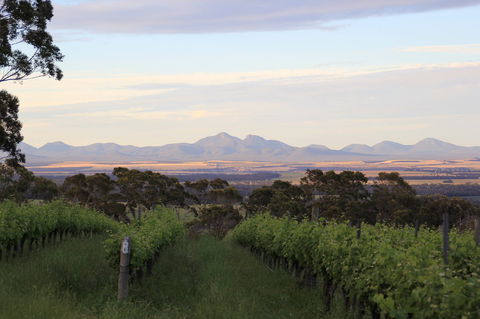 Castle Rock Estate Winery - Restaurant Guide 0