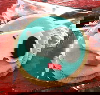 Curl the Whisker Cafe - Restaurant Guide